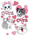 DD-25.jpg
