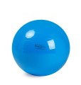 pilka-rehabilitacyjna-gymnic-physio-3.jpg