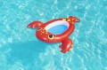 pontonik_krab_34170.jpg