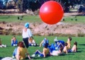 PILKA-OLBRZYMIA-MEGABALL-GYMNIC (1).webp